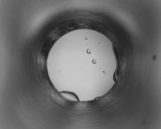 X0000116550574200912311914