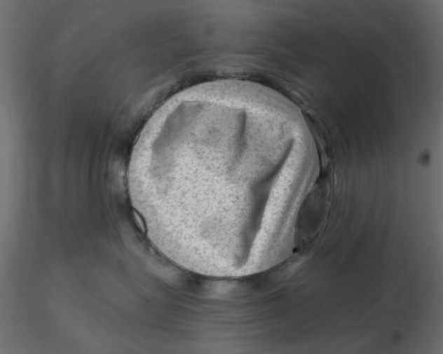 X0000116550575200912311914