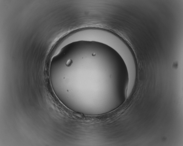 X0000116550579200912311913