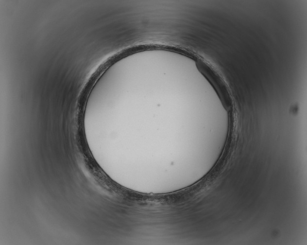 X0000116550580200912311913