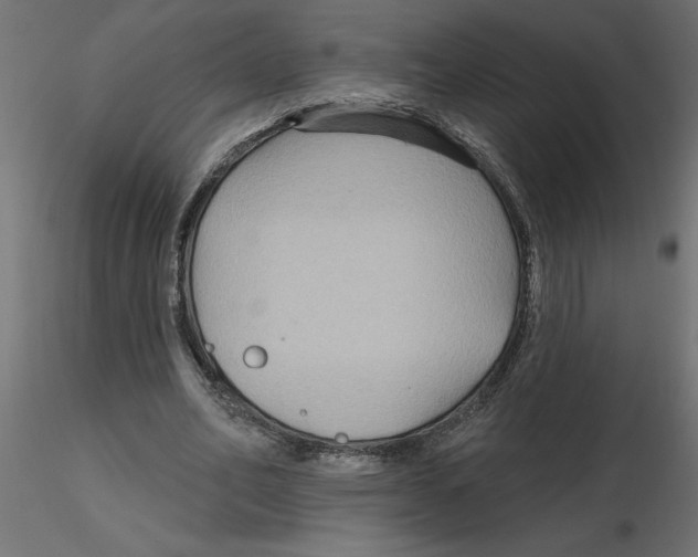 X0000116550582200912311913