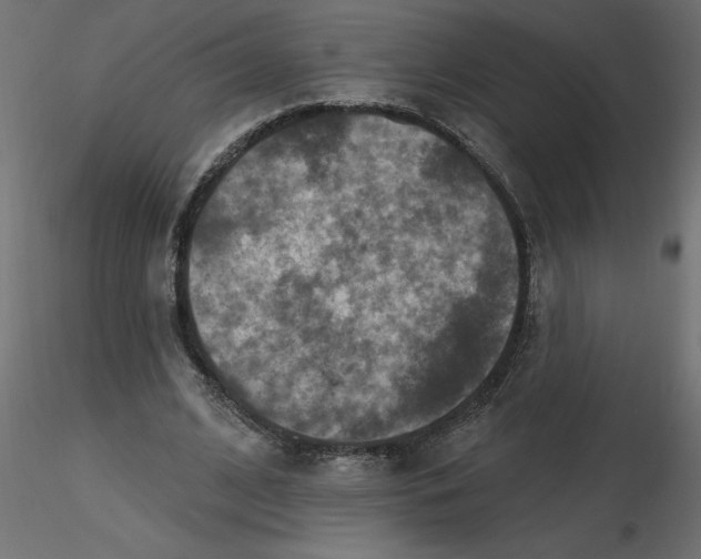 X0000116550584200912311913