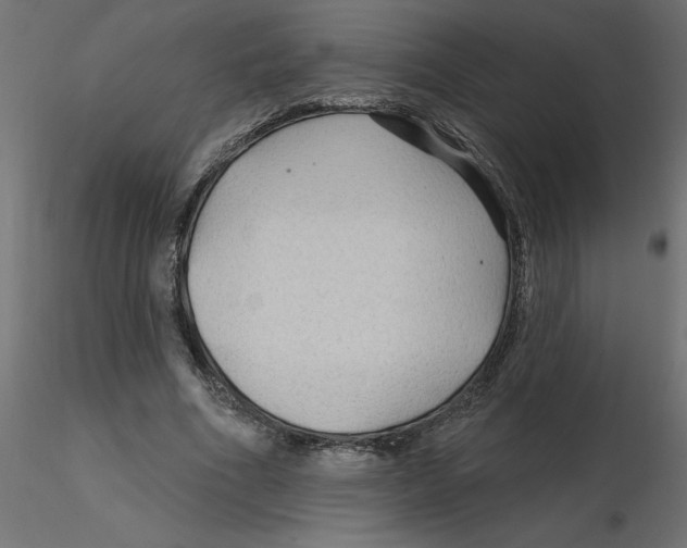 X0000116550586200912311913