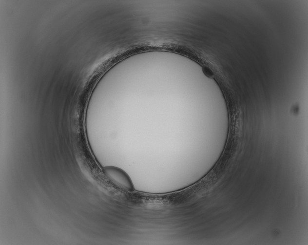 X0000116550587200912311913