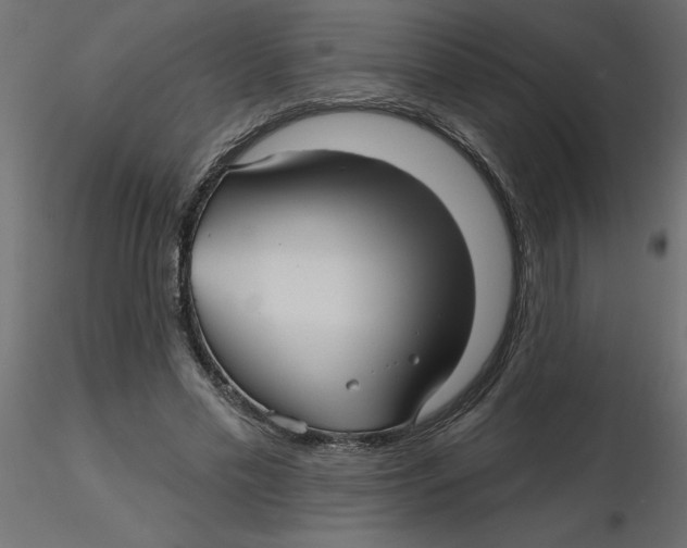 X0000116550589200912311913