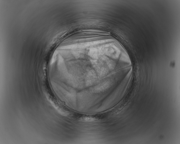 X0000116550590200912311913