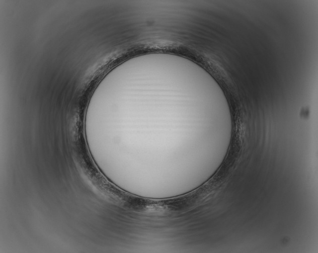 X0000116550591200912311913