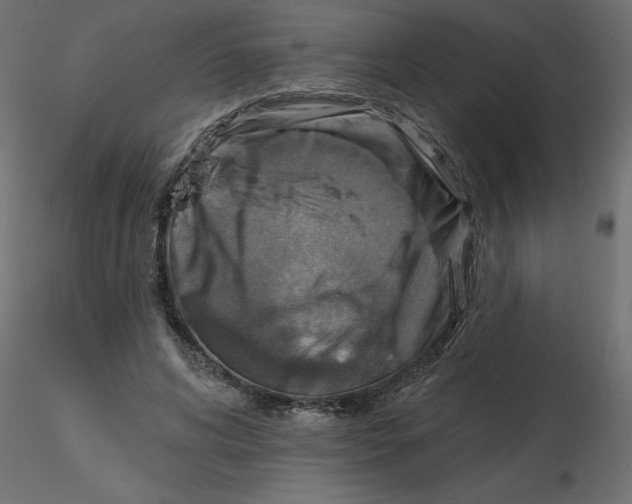 X0000116550592200912311913