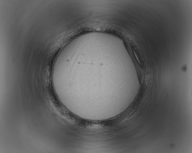 X0000116550594200912311913