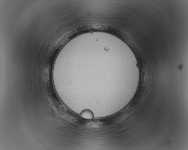 X0000116550595200912311913