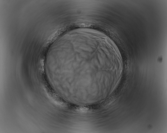 X0000116550598200912311913