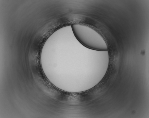 X0000116550599200912311913