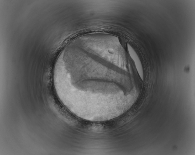 X0000116550600200912311913