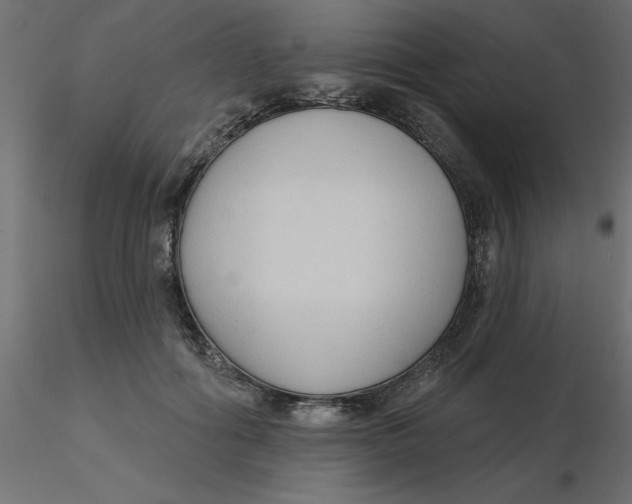 X0000116550602200912311913