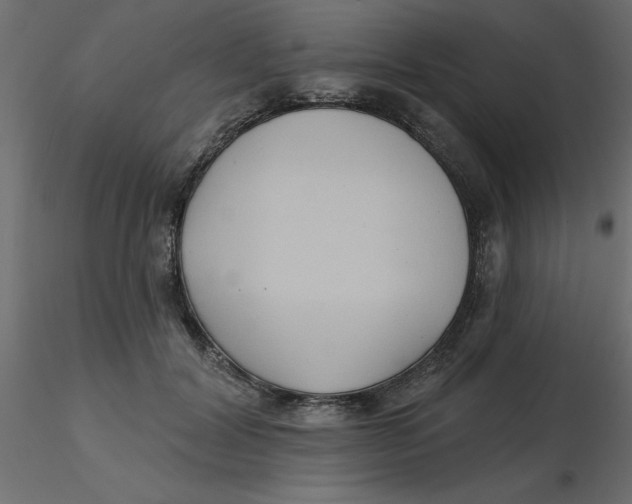 X0000116550604200912311913