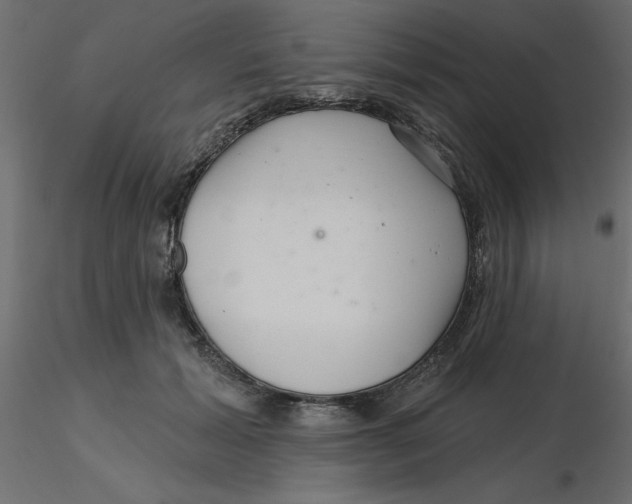 X0000116550605200912311913