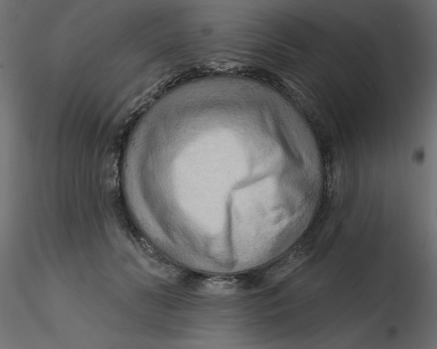 X0000116550606200912311913