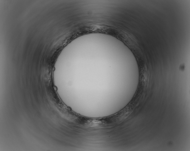 X0000116550607200912311913