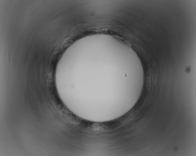 X0000116550608200912311913