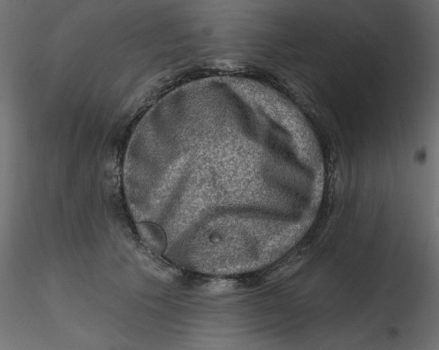 X0000116550609200912311913