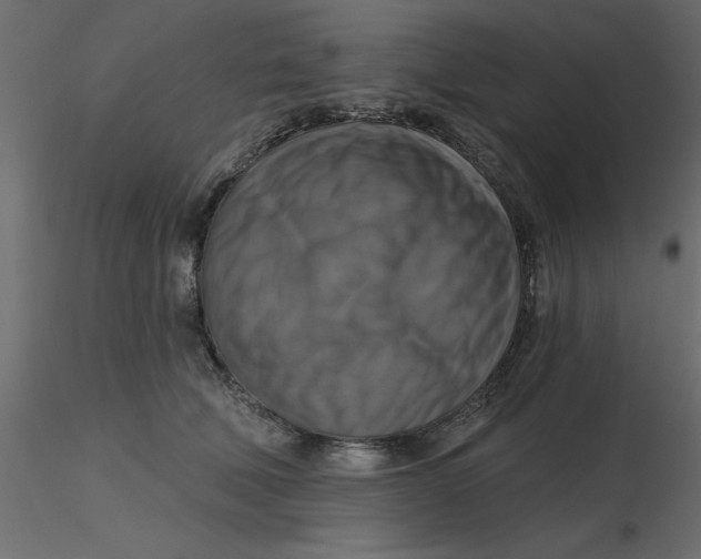 X0000116550610200912311913