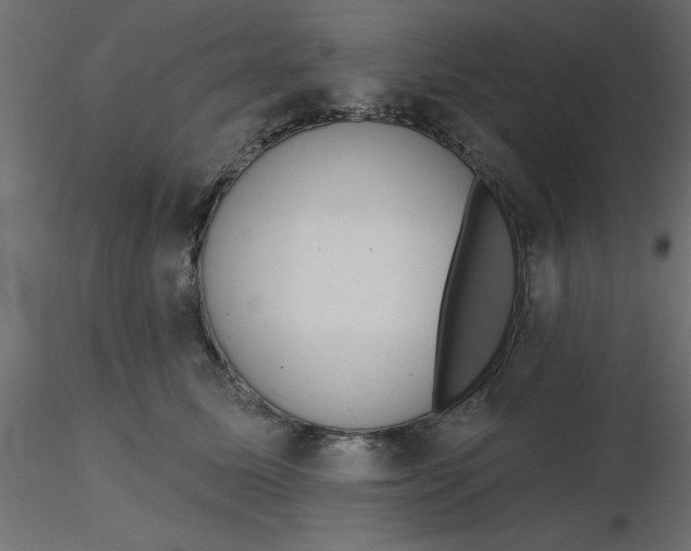 X0000116550611200912311913