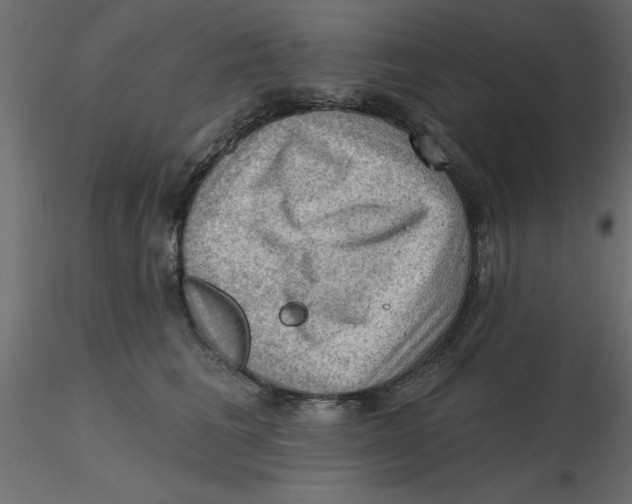 X0000116550613200912311913