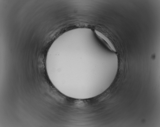 X0000116550616200912311913