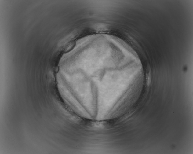 X0000116550618200912311913