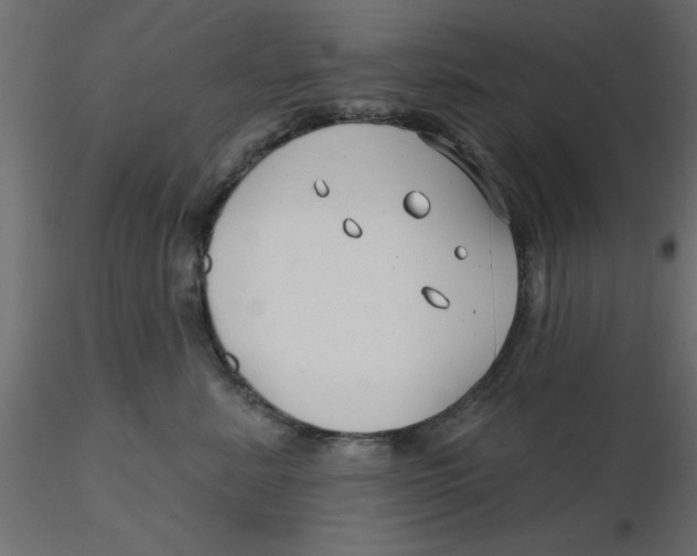 X0000116550619200912311913