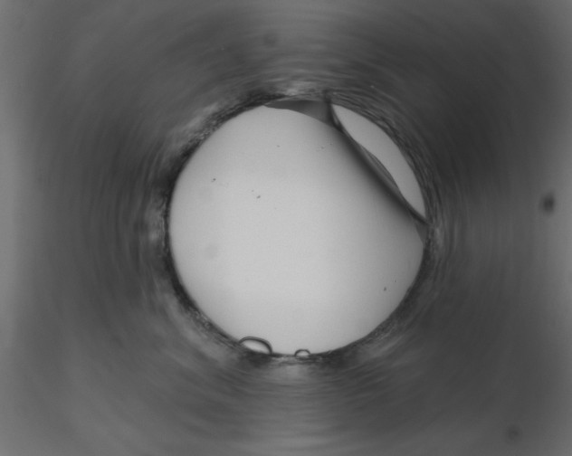 X0000116550620200912311913