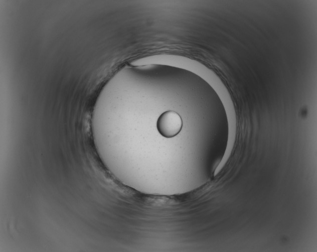 X0000116550621200912311913