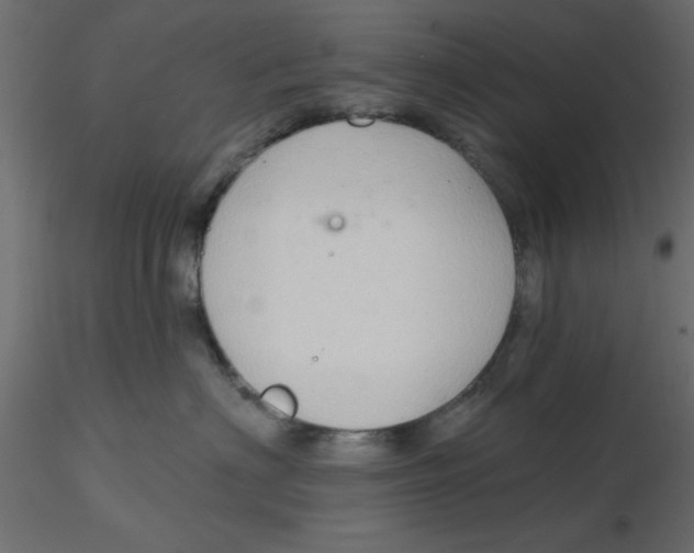 X0000116550622200912311913