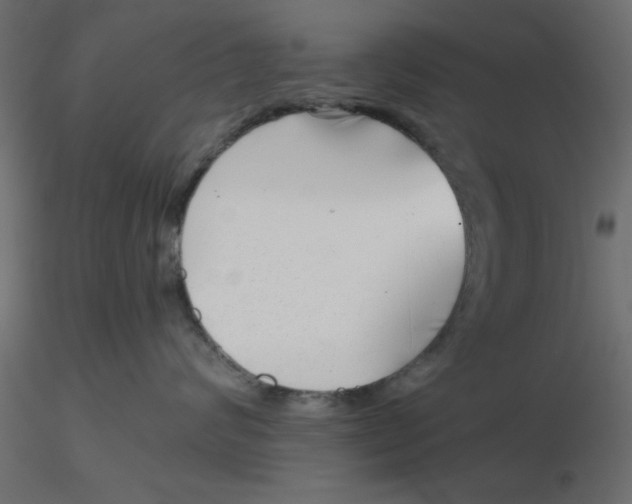 X0000116550624200912311913