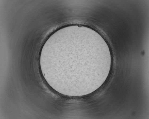 X0000116550625200912311912