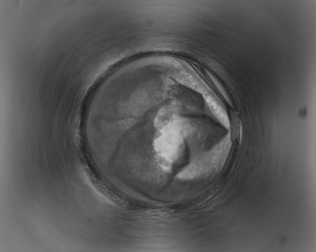 X0000116550627200912311912