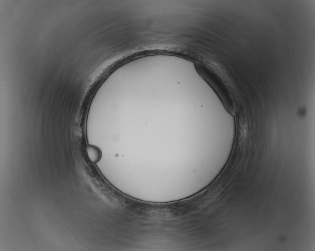 X0000116550628200912311912