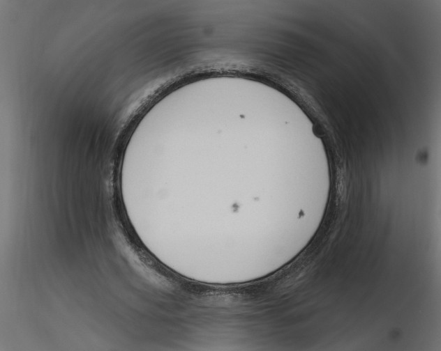 X0000116550629200912311912