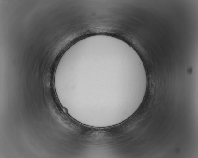 X0000116550631200912311912