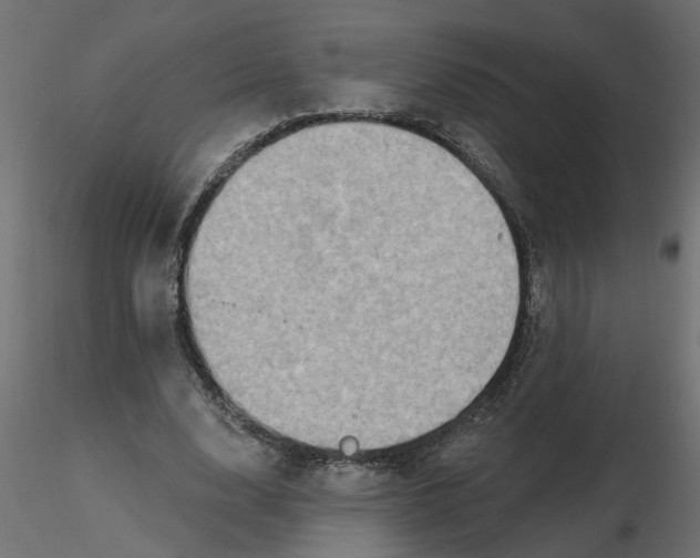 X0000116550632200912311912