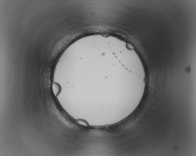 X0000116550633200912311912