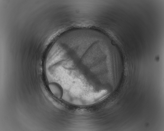 X0000116550634200912311912