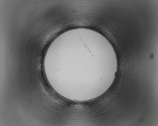 X0000116550635200912311912