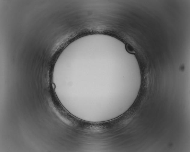 X0000116550638200912311912