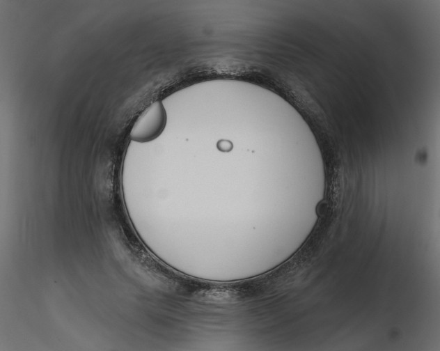 X0000116550639200912311912