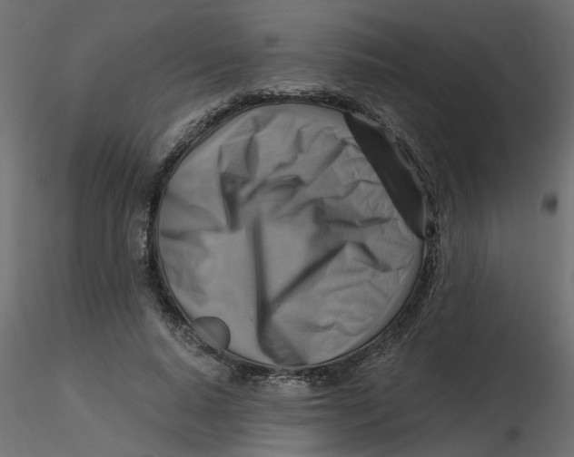 X0000116550640200912311912