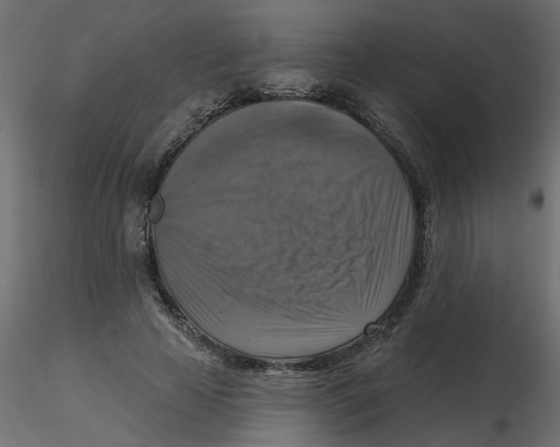 X0000116550641200912311912