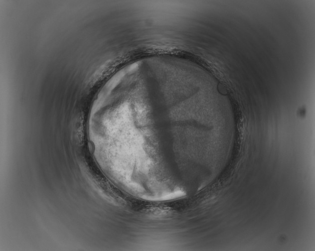 X0000116550642200912311912