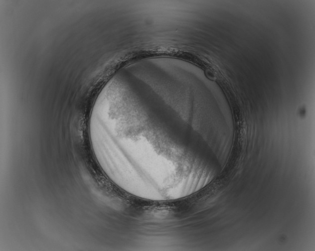 X0000116550643200912311912