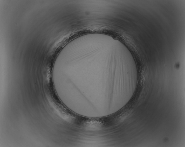 X0000116550644200912311912